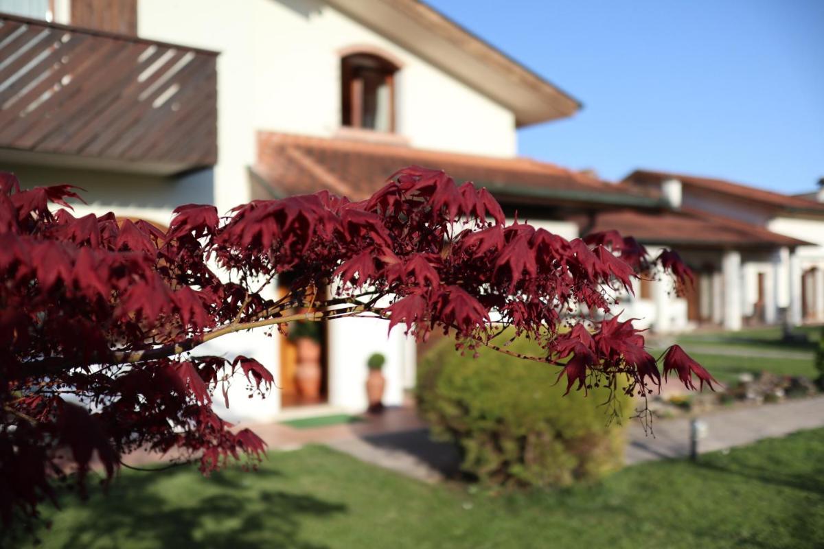 La Pecora Nera Bed & Breakfast Belluno - Housity