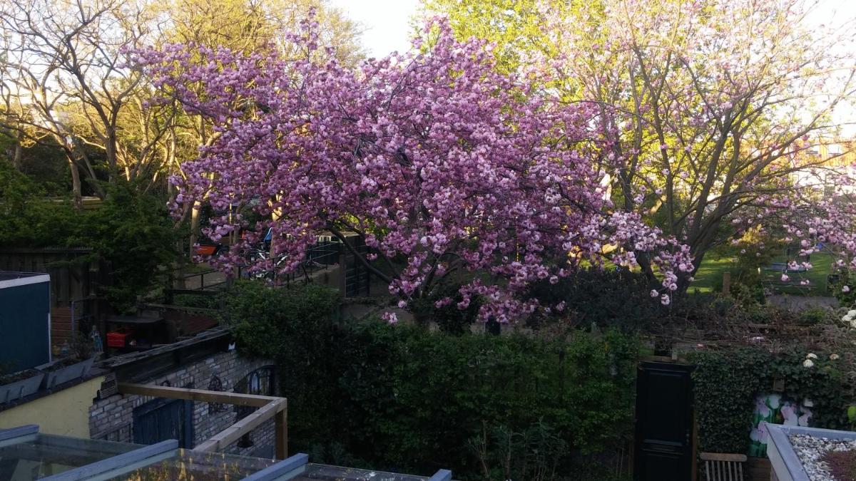 Bed en Broodje Bloem - Housity