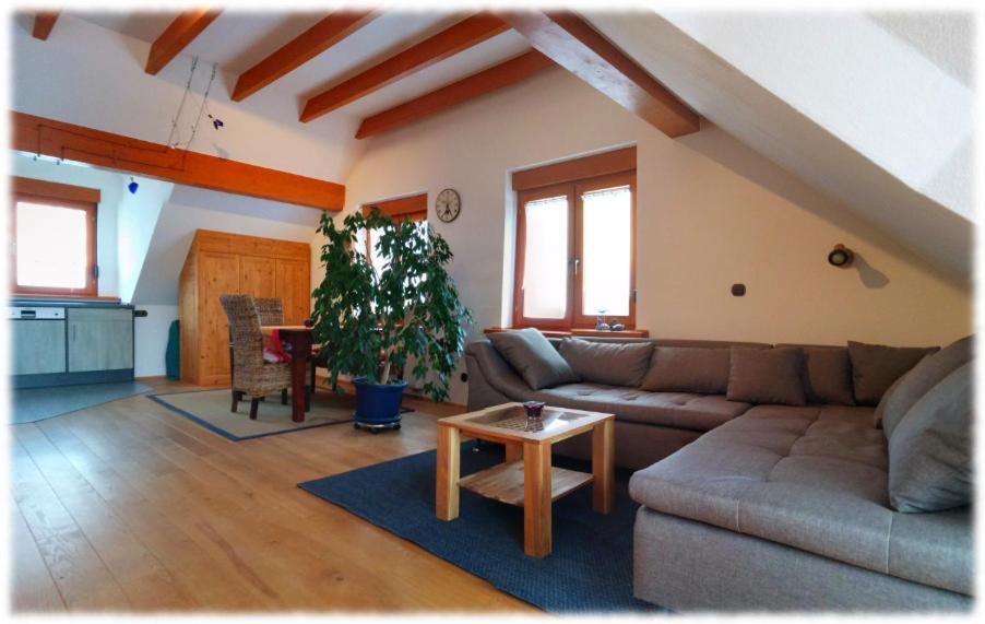 Ferienwohnung Hunsrück - Housity