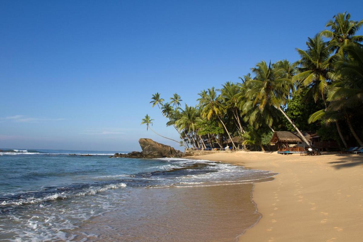 Dalawella Beach House - Housity