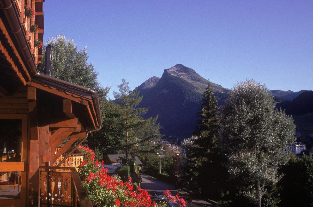 Vue générale sur la montagne ou vue sur la montagne depuis l'hôtel