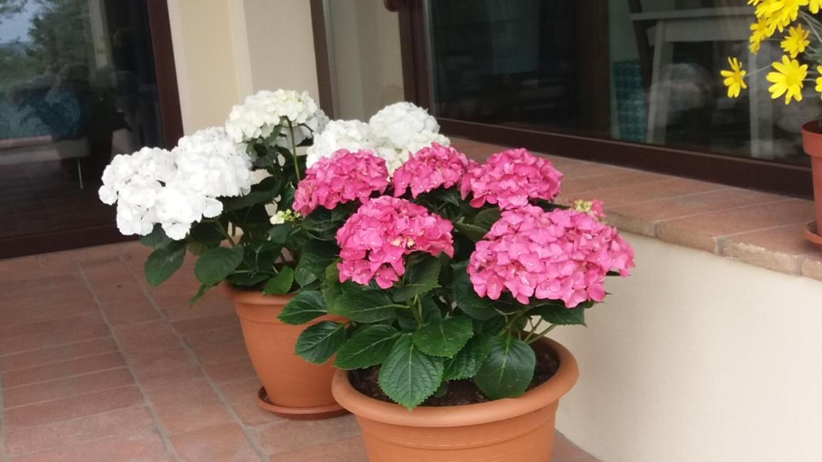 Il Fienile Holiday Home - Housity