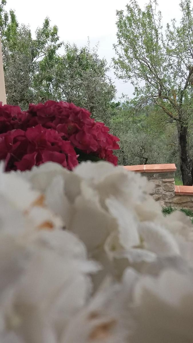 Il Fienile Holiday Home - Housity