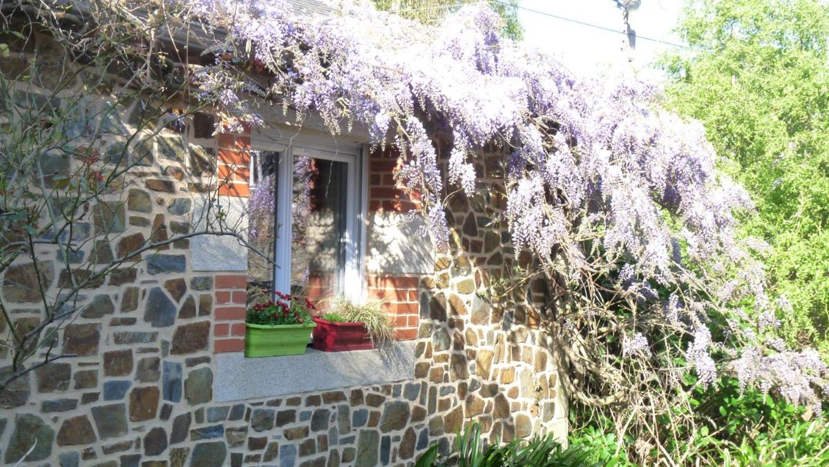 Gite de la Renaissance, Binic , Bretagne - Housity