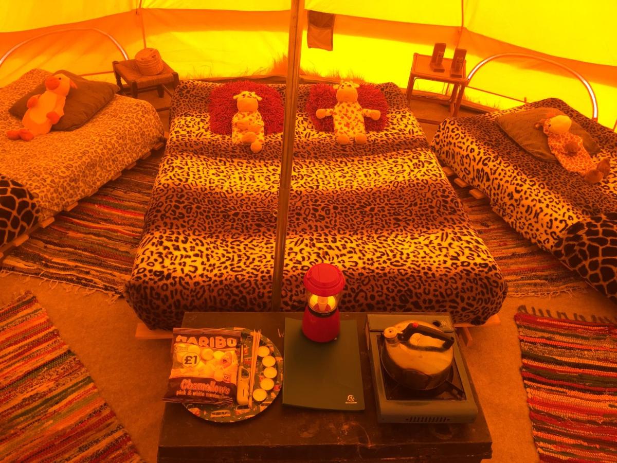 Botany Camping - Housity