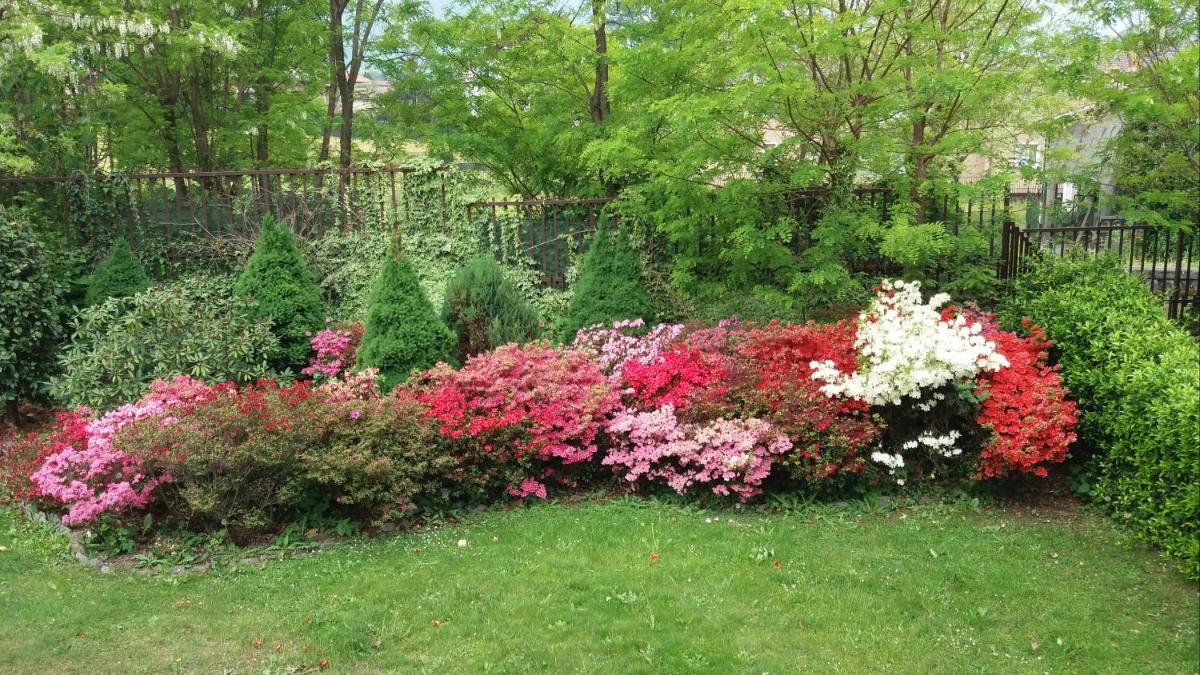 Il Giardino - Housity