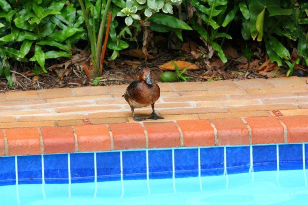 Hunters B&B - Housity