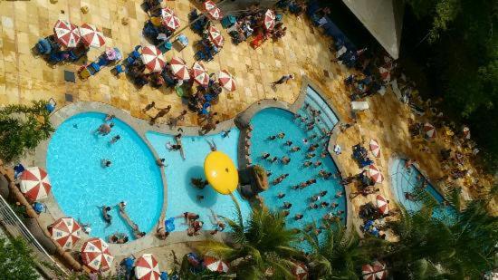 Apartamento Golden Dolphin express - Housity