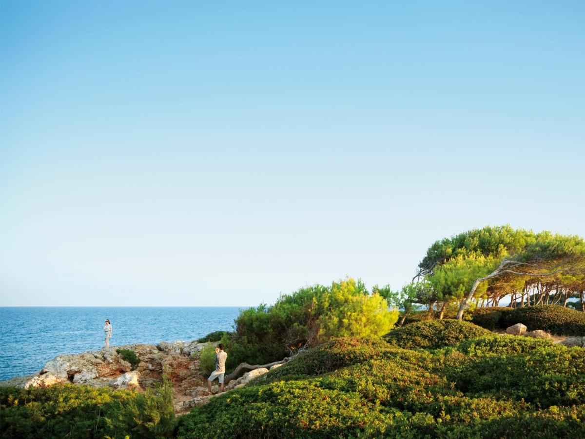 Paisaje cerca de este hotel