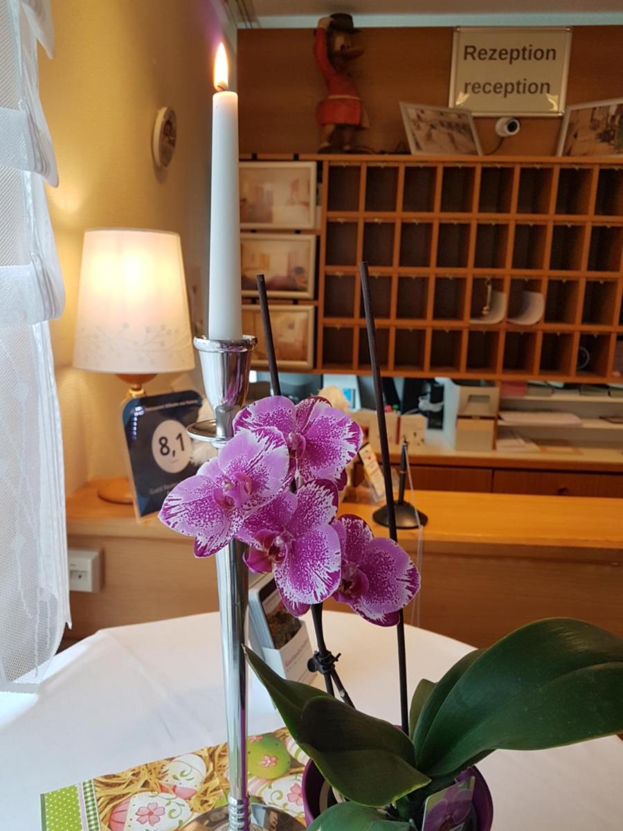 Hotel & Restaurant Wilhelm von Nassau - Housity