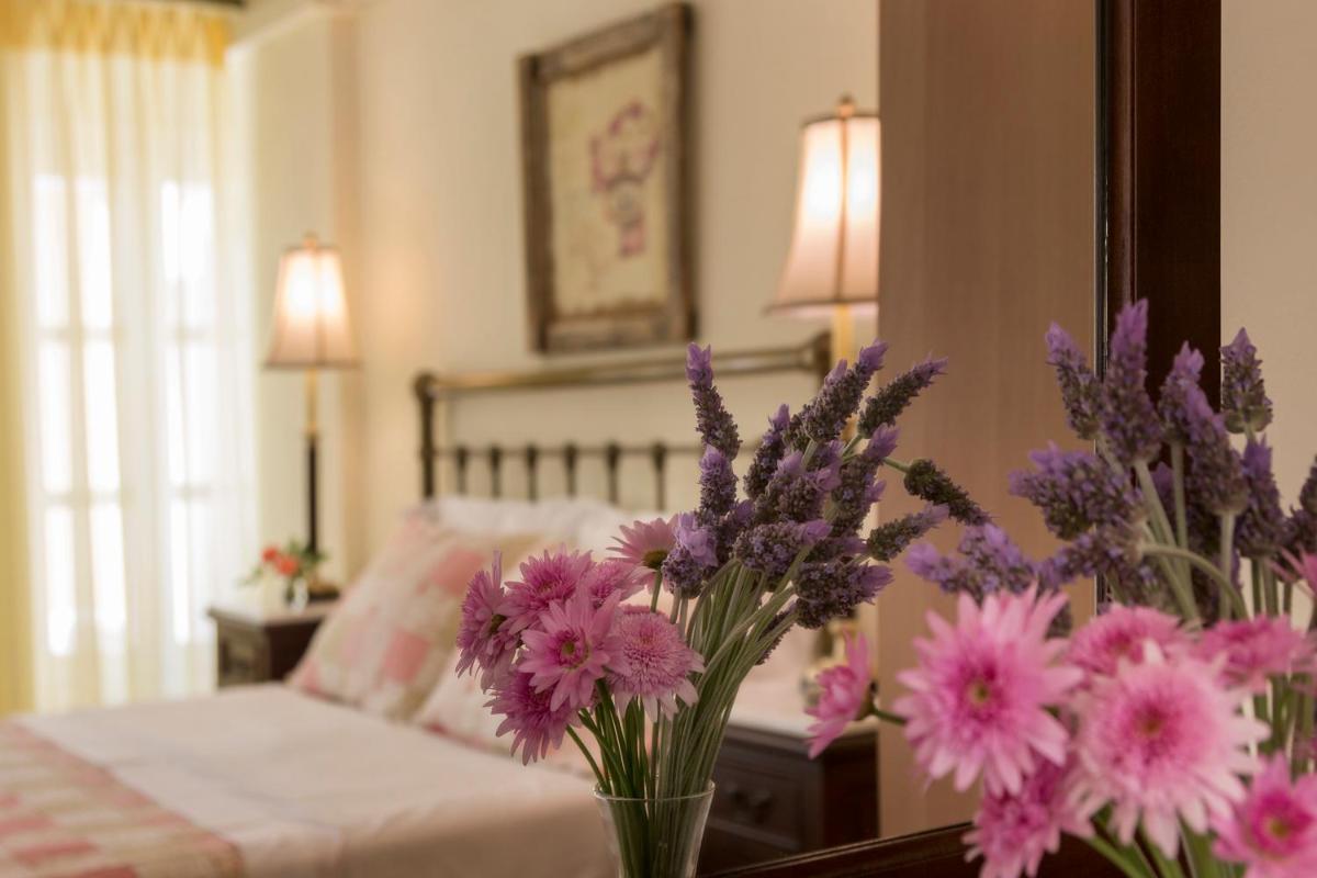 Antouanetta Apartments - Housity