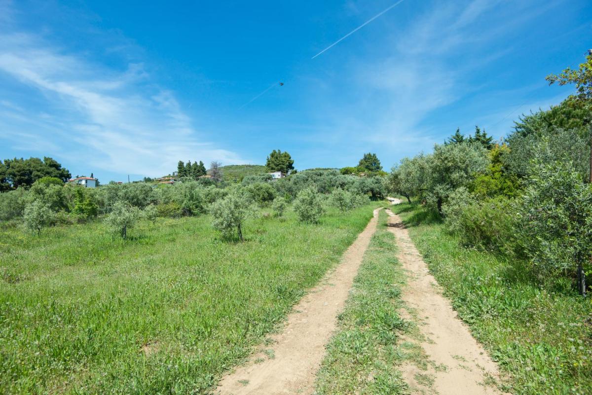 Avaton Farm - Housity