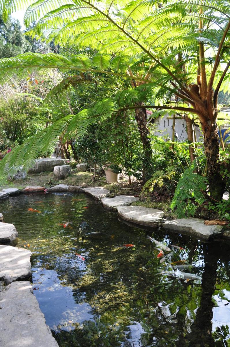 Cha Guo Zi - Housity