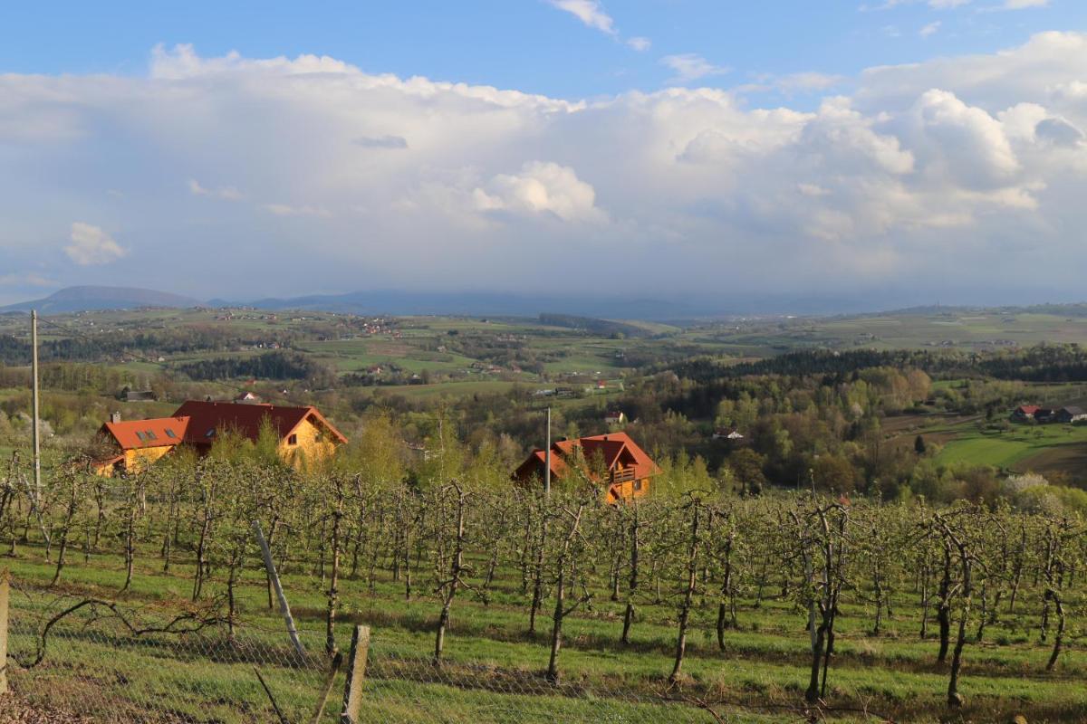 Fantastic View Vineyard Beskid Mountains - Housity