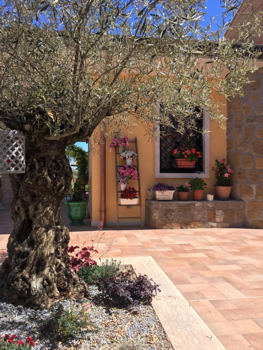 Borgo Sacramento - Housity