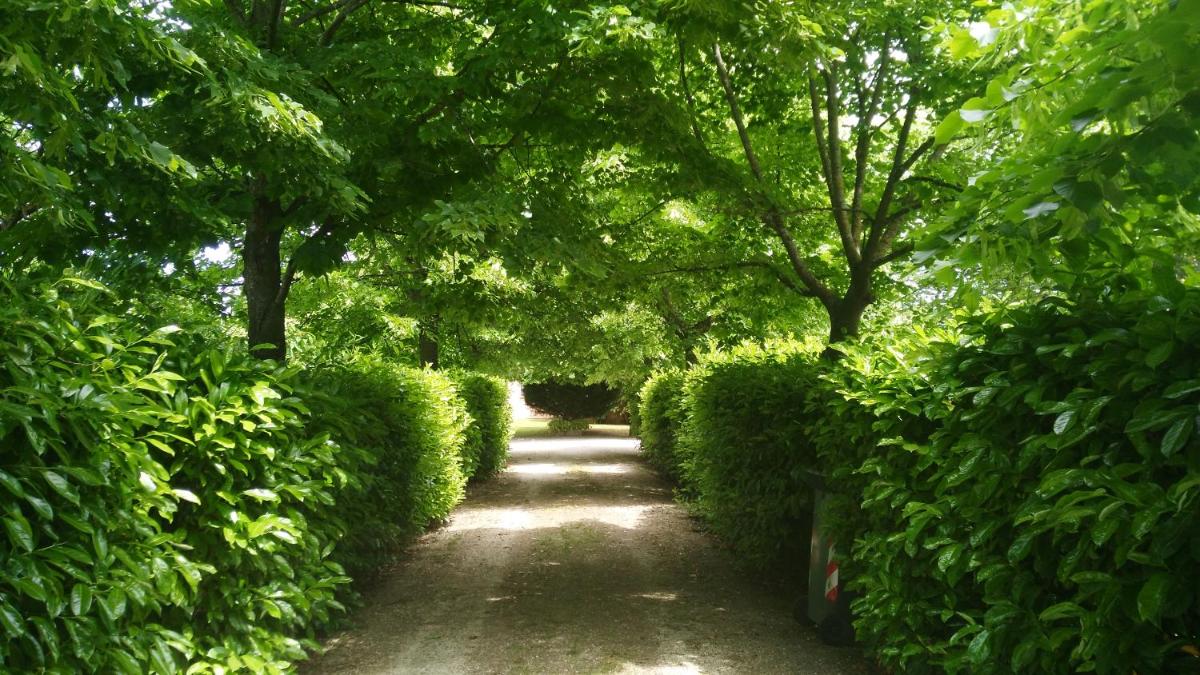 Suitetrails - B&B I Sassetti