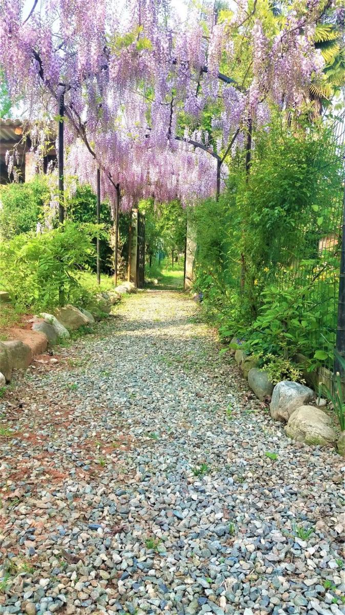 Villa Maria Sole - Housity