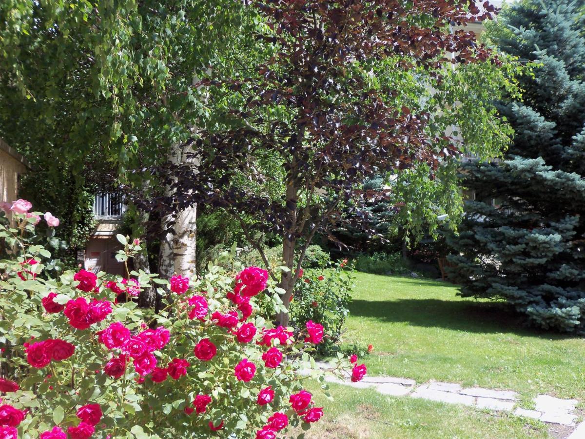 Jardin de l'établissement Hotel Spa Azteca Barcelonnette