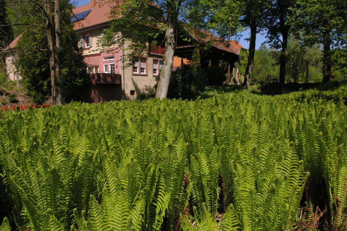 Ferienwohnungen Reichholdsmühle - Housity