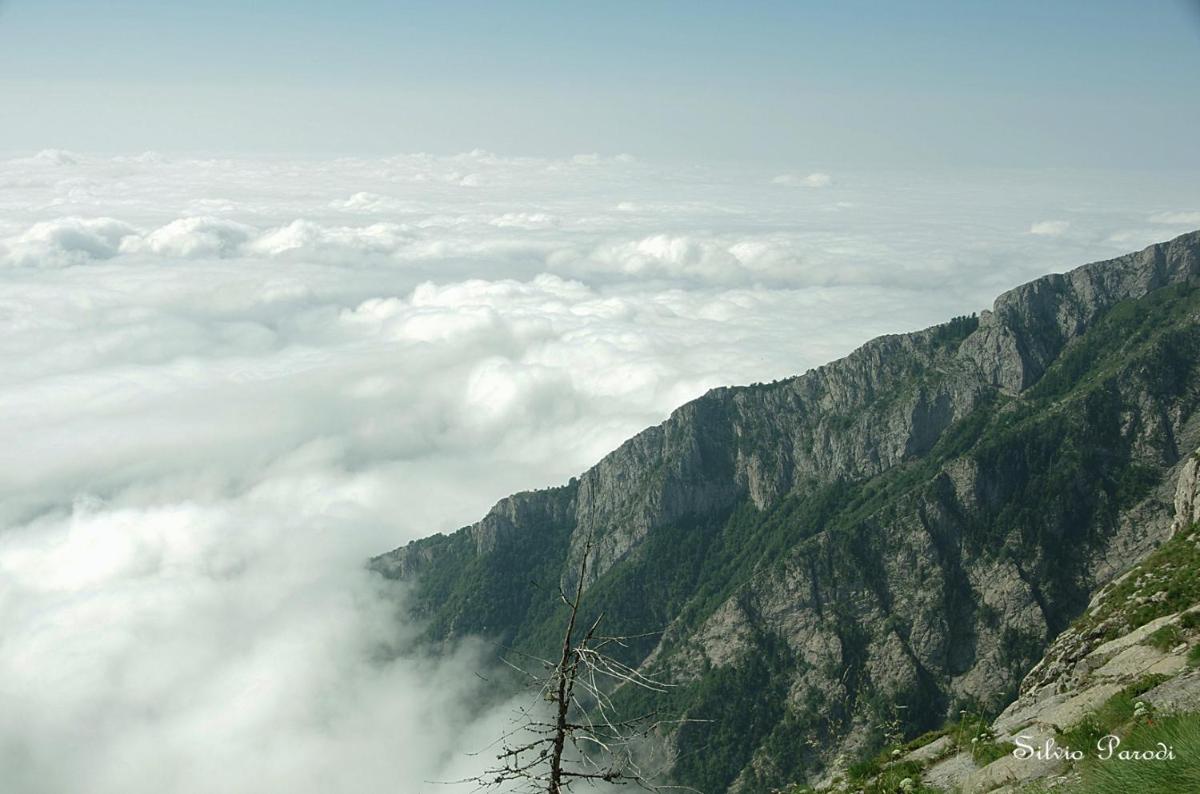Albergo Santo Spirito - Housity