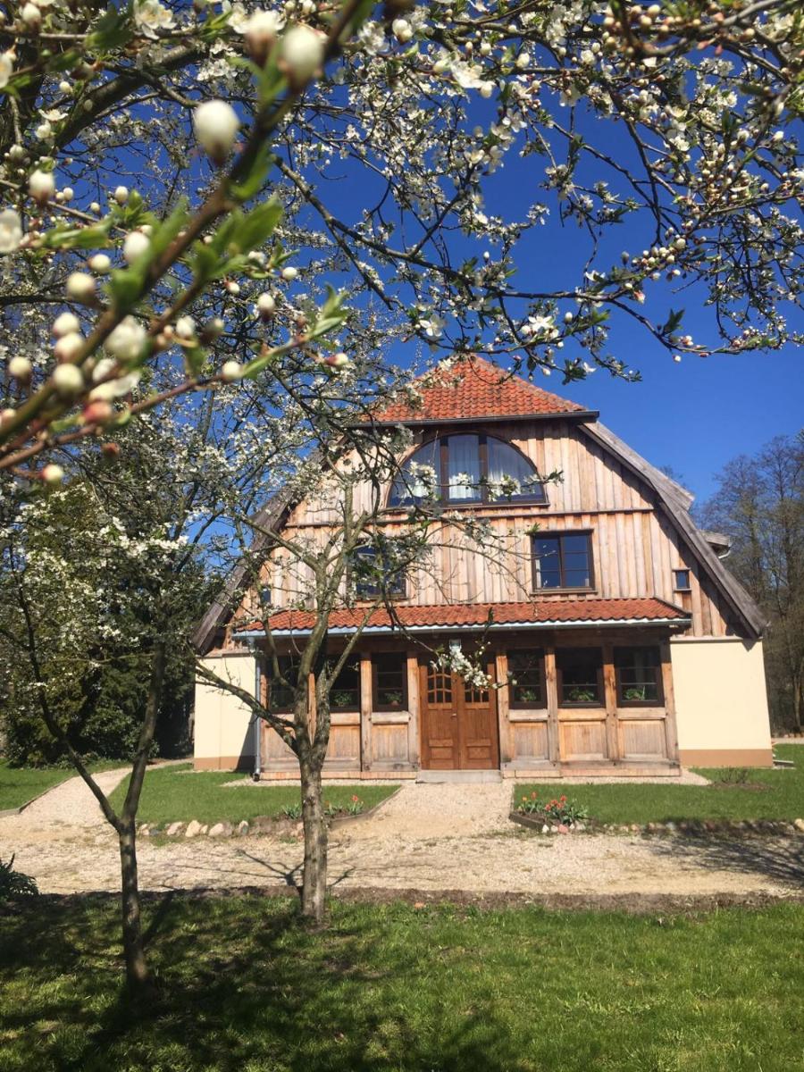 Stara Papiernia Zielony Lasek - Housity