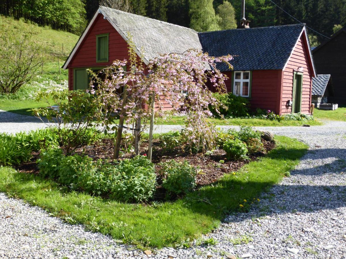 Rongen gard - Housity