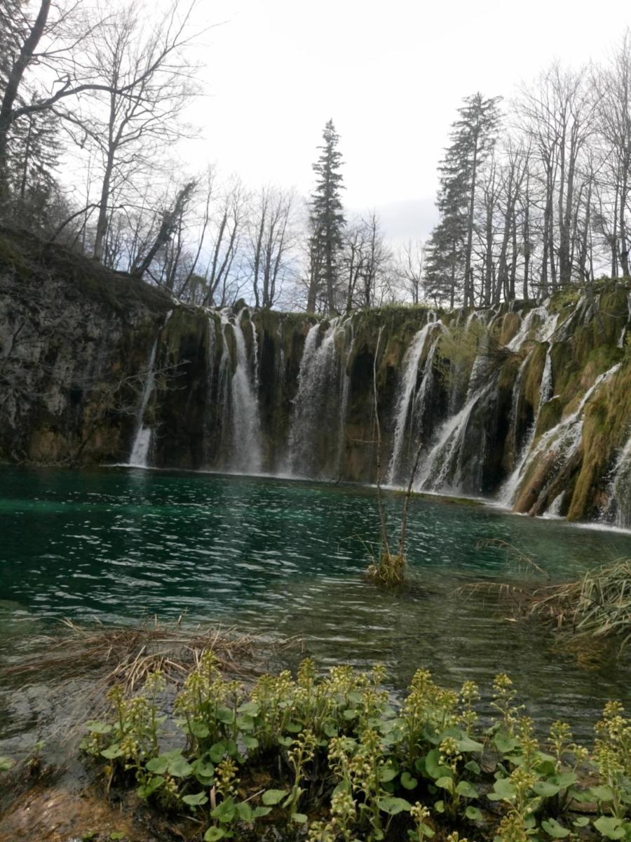Apartments Tratinčica - Housity