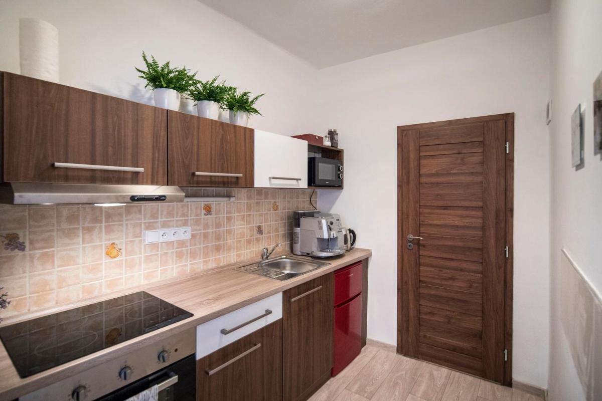 Apartmán Dolní náměstí - Housity