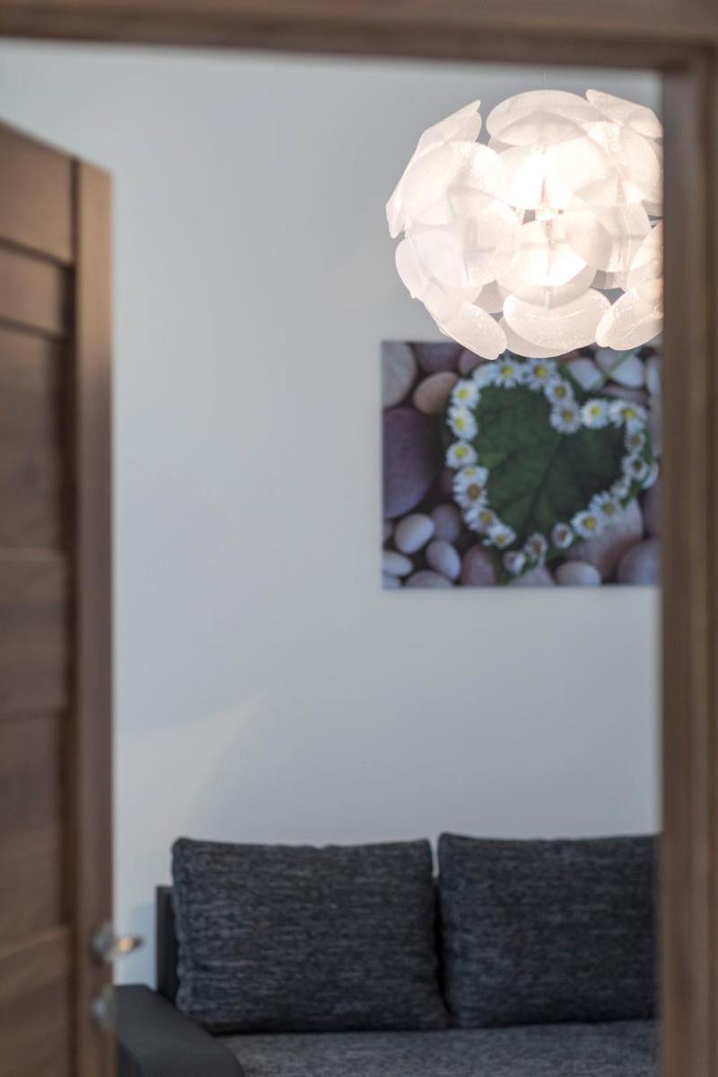 Apartmán Dolní náměstí - Housity