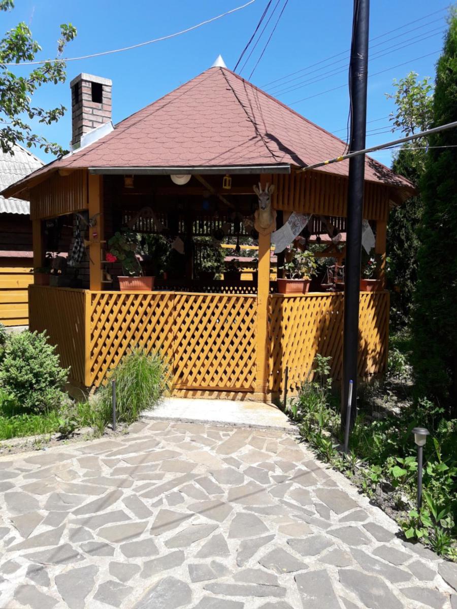 Pensiunea Todorica Sergiu - Housity