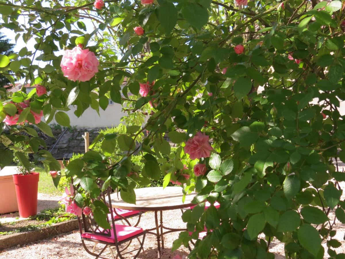 Le Jardin - Housity