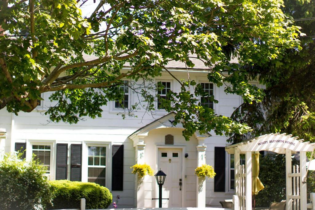Historic White Blossom House - Housity