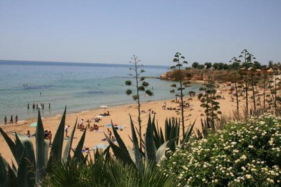 Villa Due Palme - Housity
