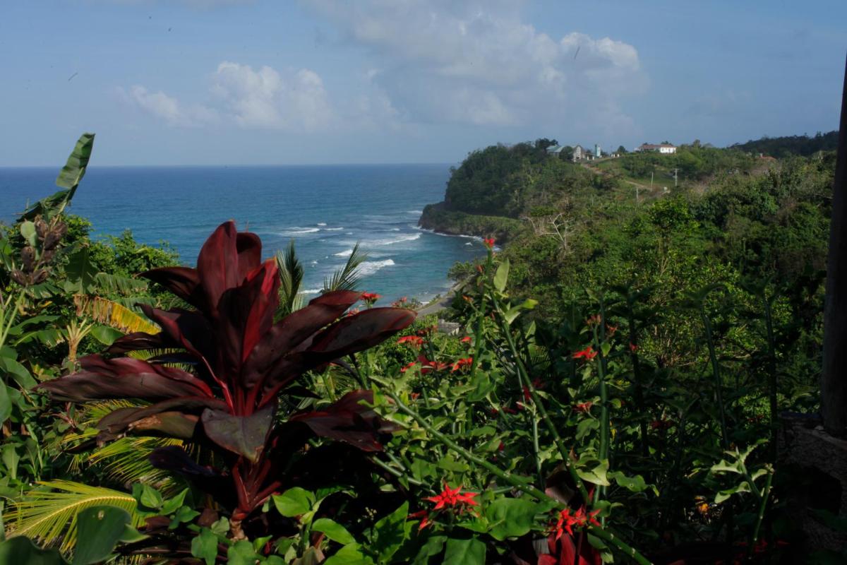 I VIEW - in Long Bay - Housity