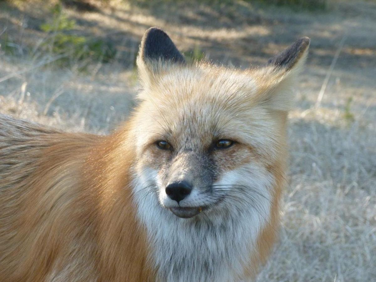 The Cozy Cubbyhole B&B - Housity