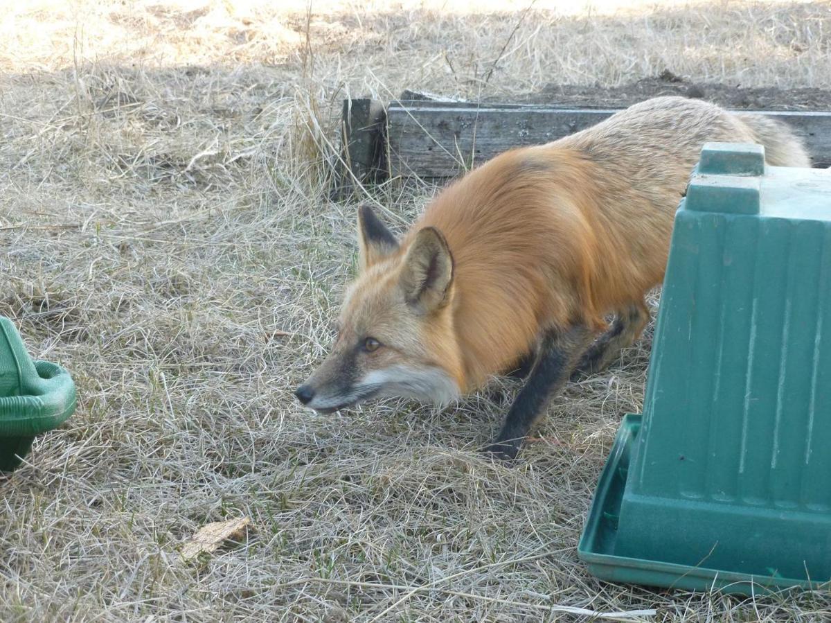 The Cozy Cubbyhole B&B - Housity