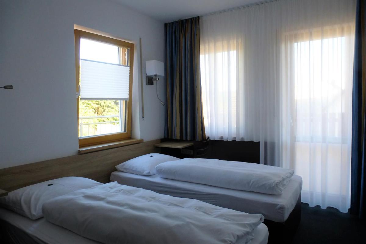 Blaue Traube - Housity