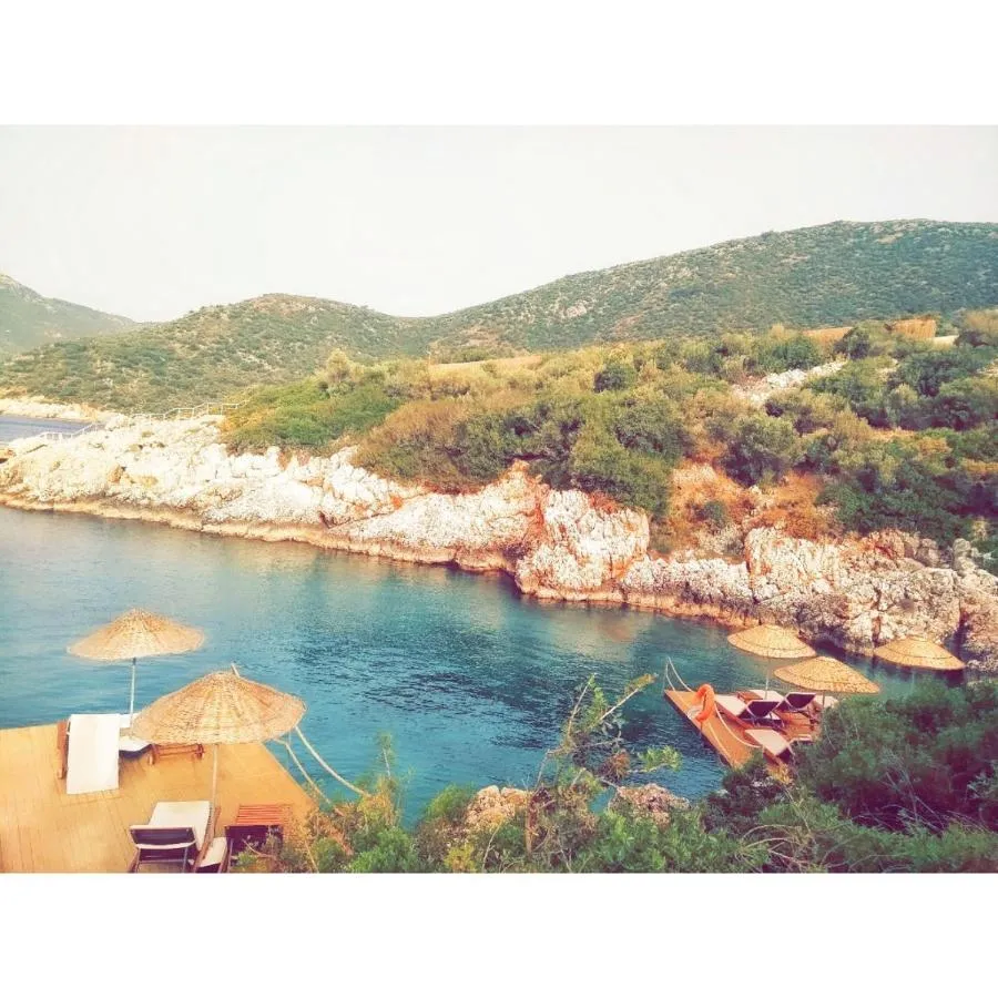 ⁨كولوبي هوتيل⁩ — صورة 9