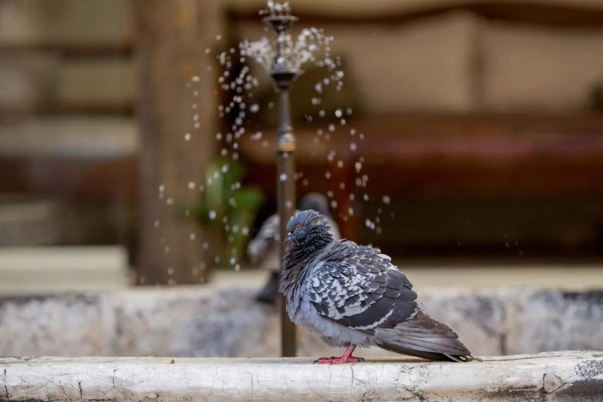 ⁨فندق بيوت الأناضول غازي عنتاب⁩ — صورة 21