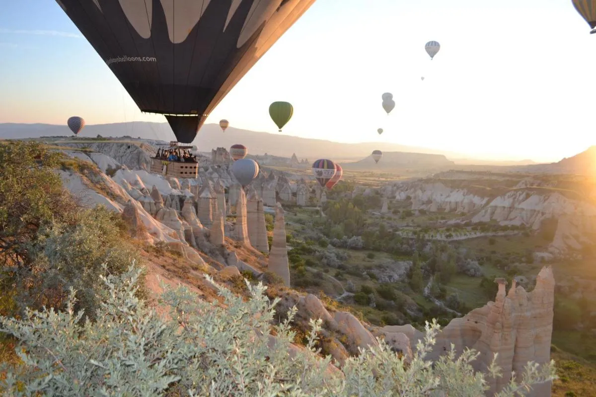 سوسو سافي — صورة 4