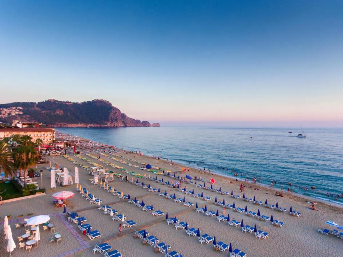 Lonicera City Hotel — صورة 4