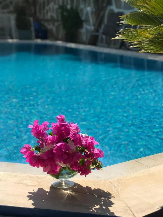 ⁨Artunc Hotel Bodrum⁩ — صورة 12