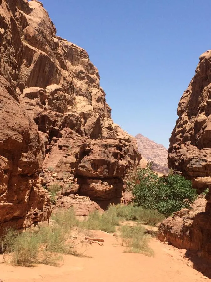 ⁨ساليم سامب⁩ — صورة 29