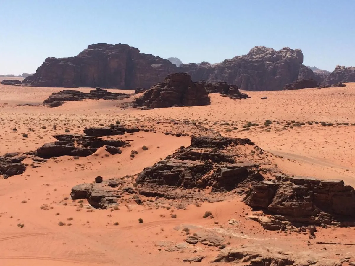 ⁨ساليم سامب⁩ — صورة 36