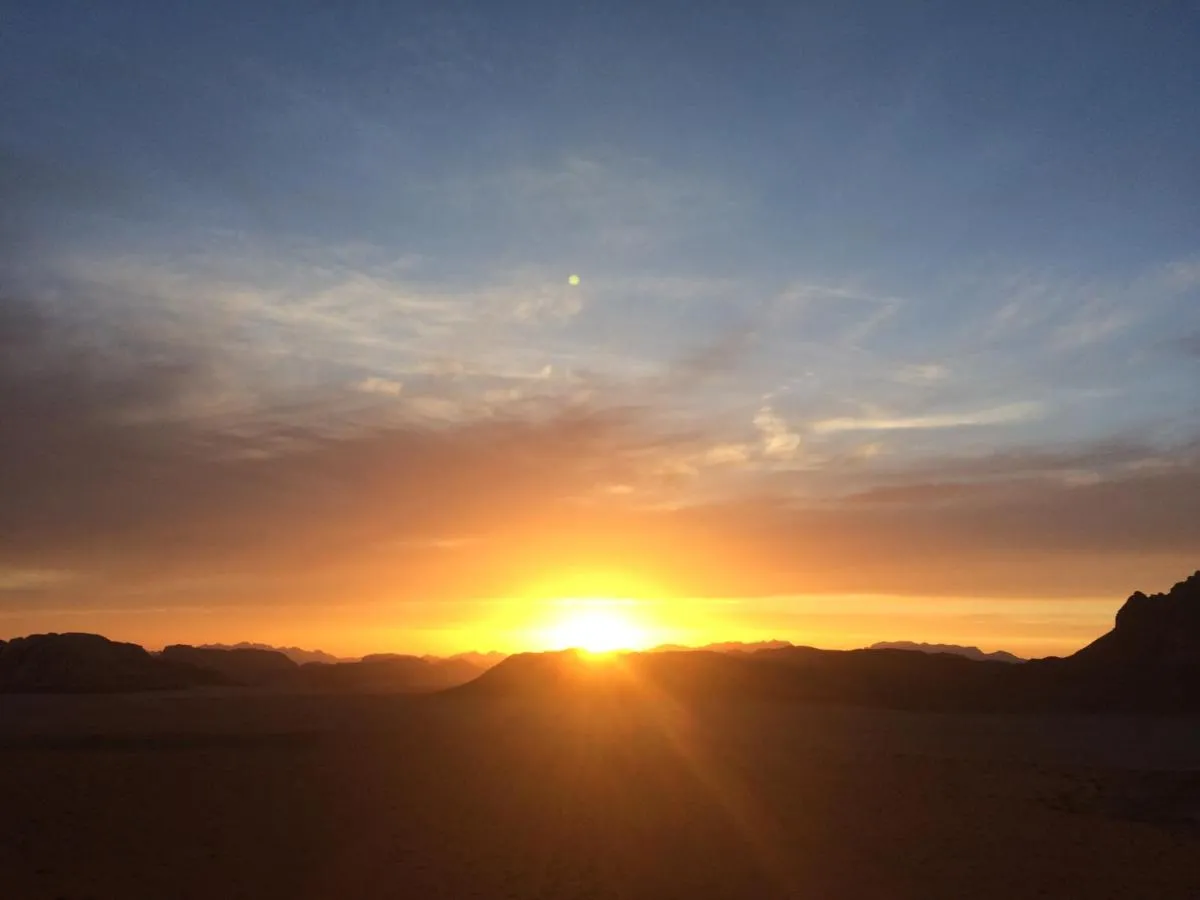 ⁨ساليم سامب⁩ — صورة 23