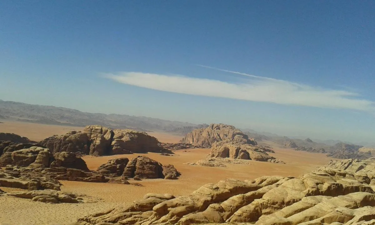 ⁨ساليم سامب⁩ — صورة 19