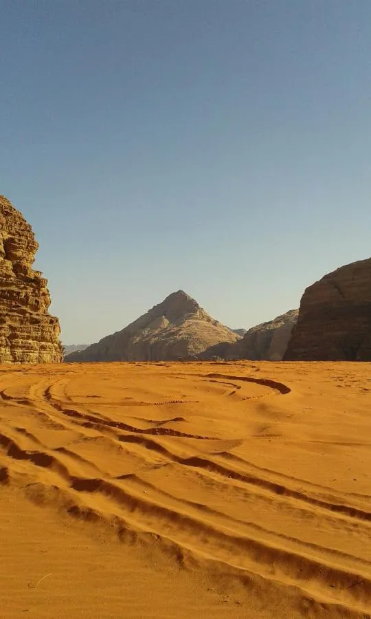 ⁨ساليم سامب⁩ — صورة 20