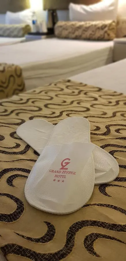 Grand Zeybek Hotel — صورة 4