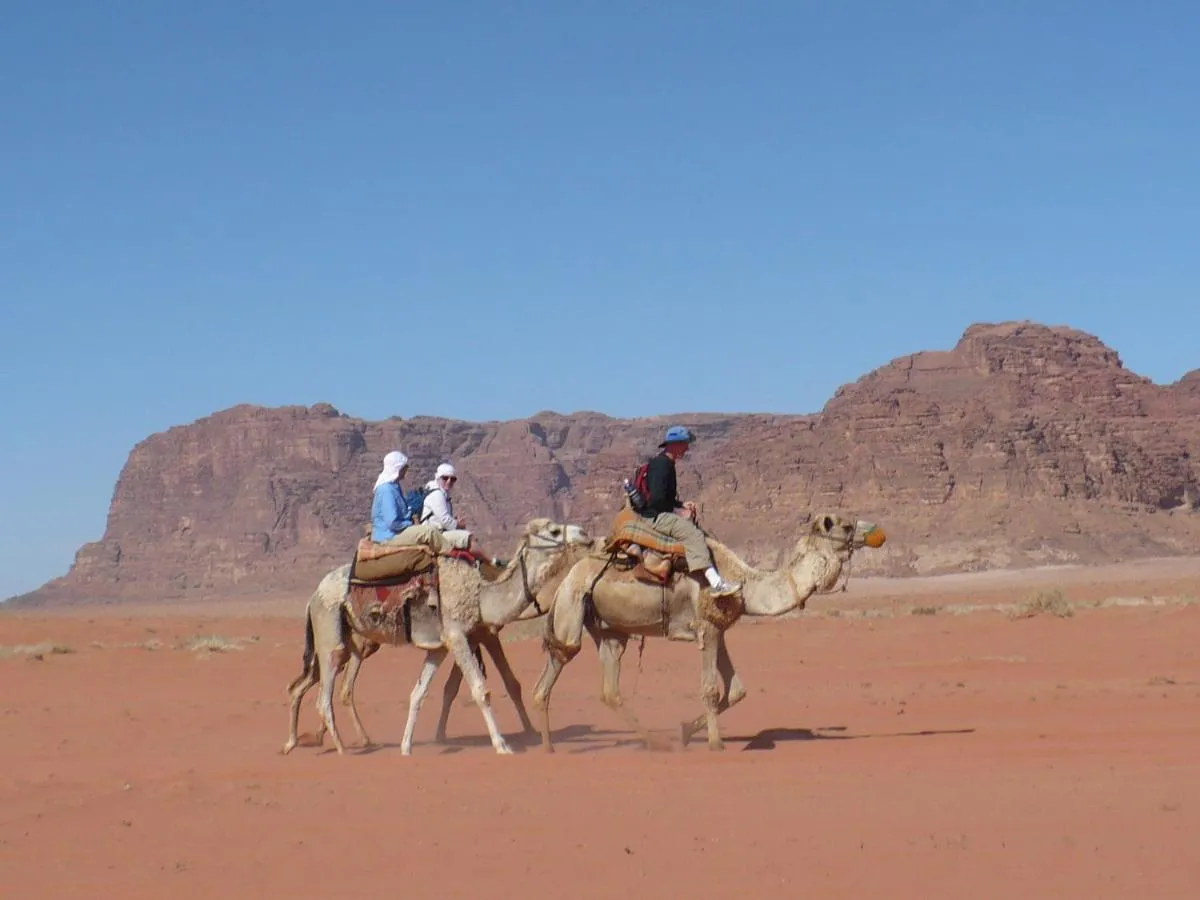 ⁨ساليم سامب⁩ — صورة 18