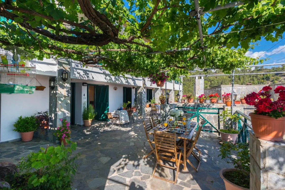 تهيميس هووسي — صورة 3